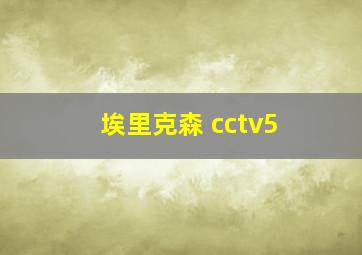 埃里克森 cctv5